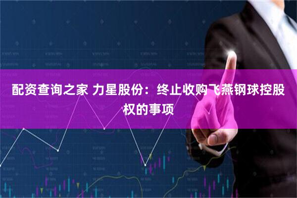 配资查询之家 力星股份：终止收购飞燕钢球控股权的事项
