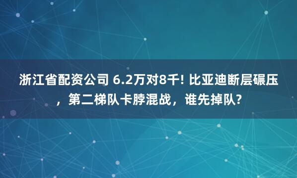 浙江省配资公司 6.2万对8千! 比亚迪断层碾压，第二梯队卡脖混战，谁先掉队?